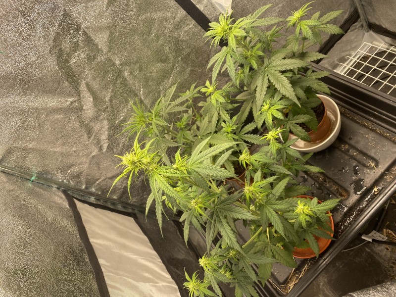 6B04BE8B-6031-4C68-A7AD-45D7885B9ABD