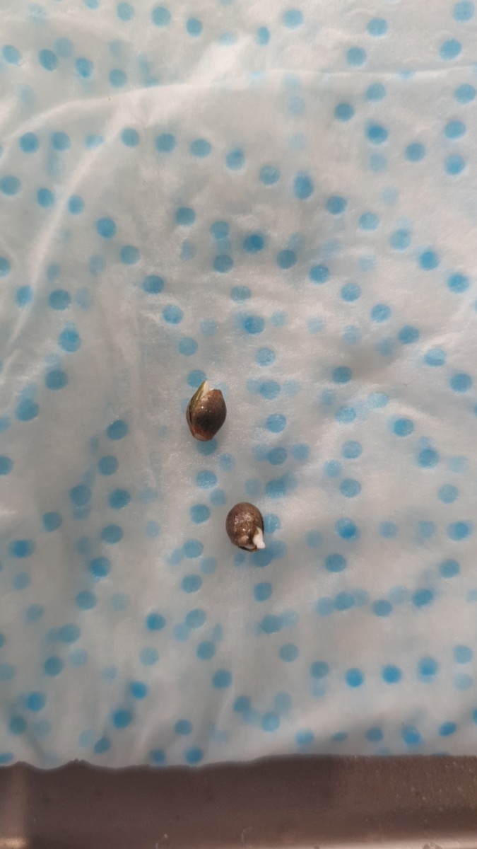 IMG_20211104_093513_923