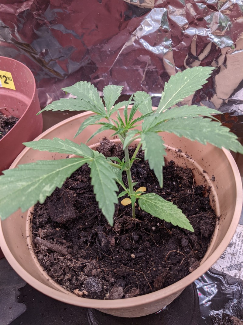 PXL_20211103_172253646