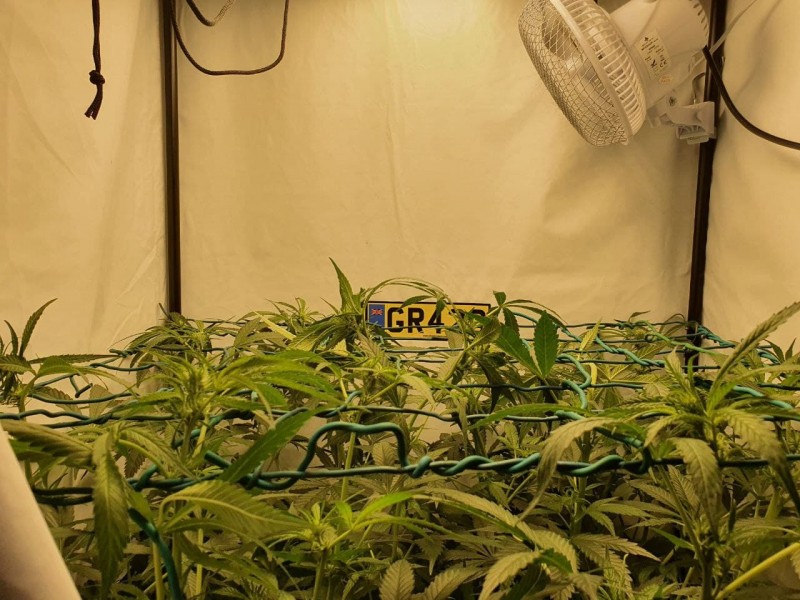 photo_2021-11-07_16-36-16