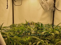 photo_2021-11-07_16-36-16