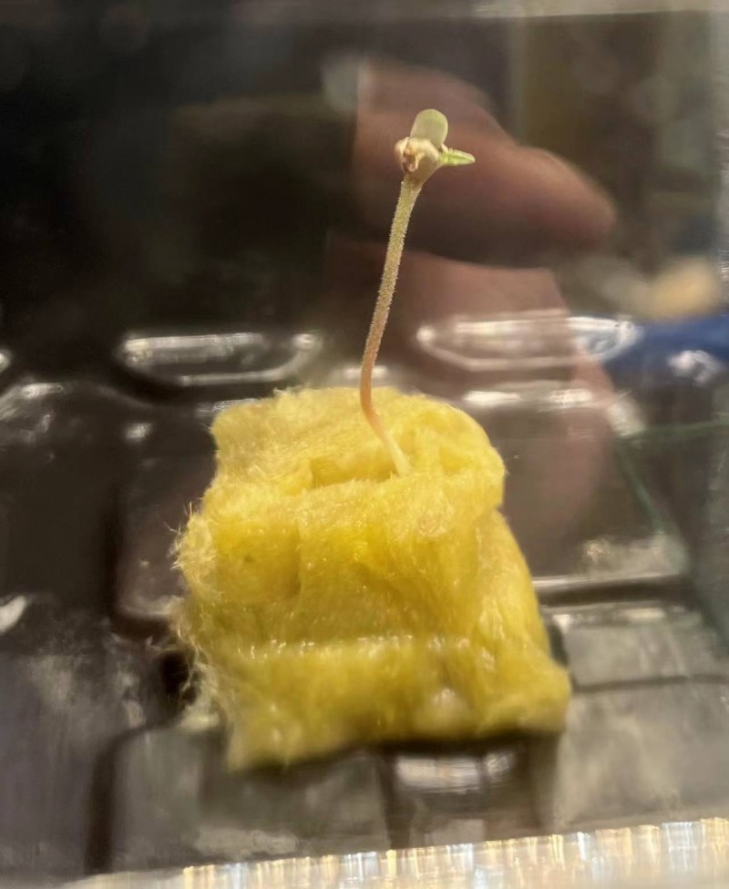 WeChat Image_20211111205835