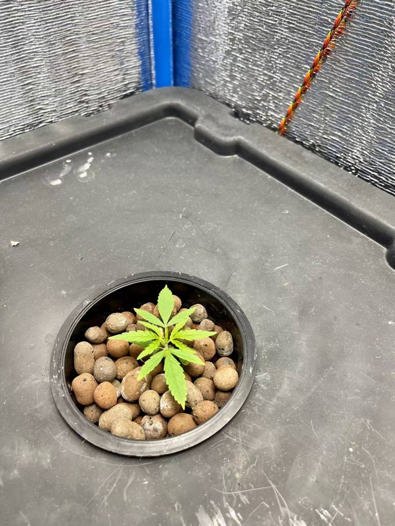 WeChat Image_20211111205847