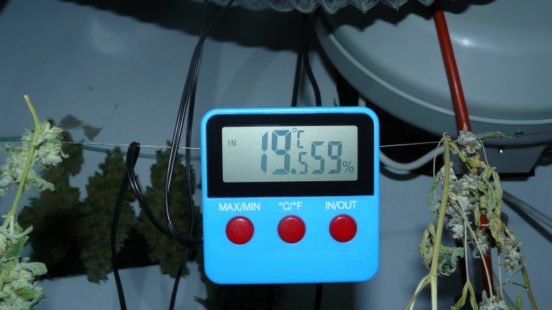 vk harvest part 1 024