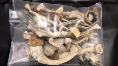 033ED7D8-9A9D-4778-BE06-BED9AA825267