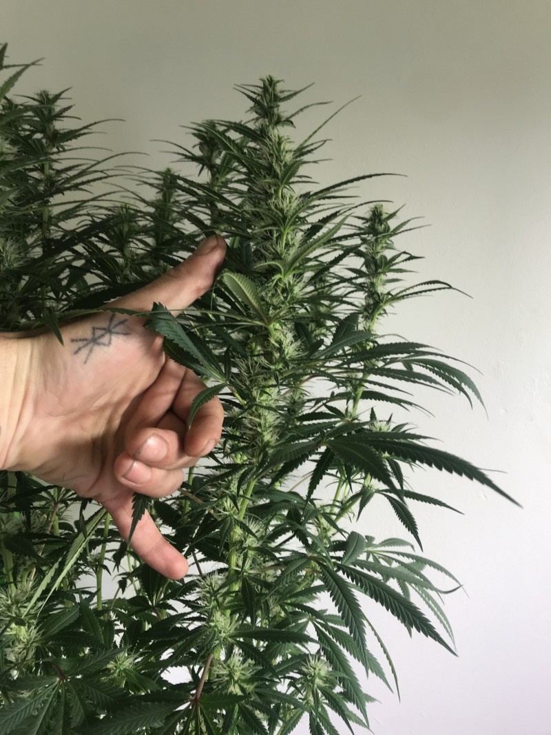 CD7C9C51-456A-425E-82E1-27F91E0422FF