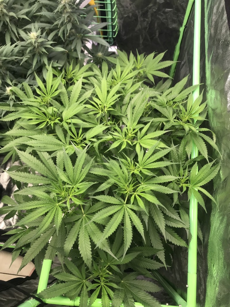 9F55AC7E-385D-4D54-B7A0-CC2597AFD379