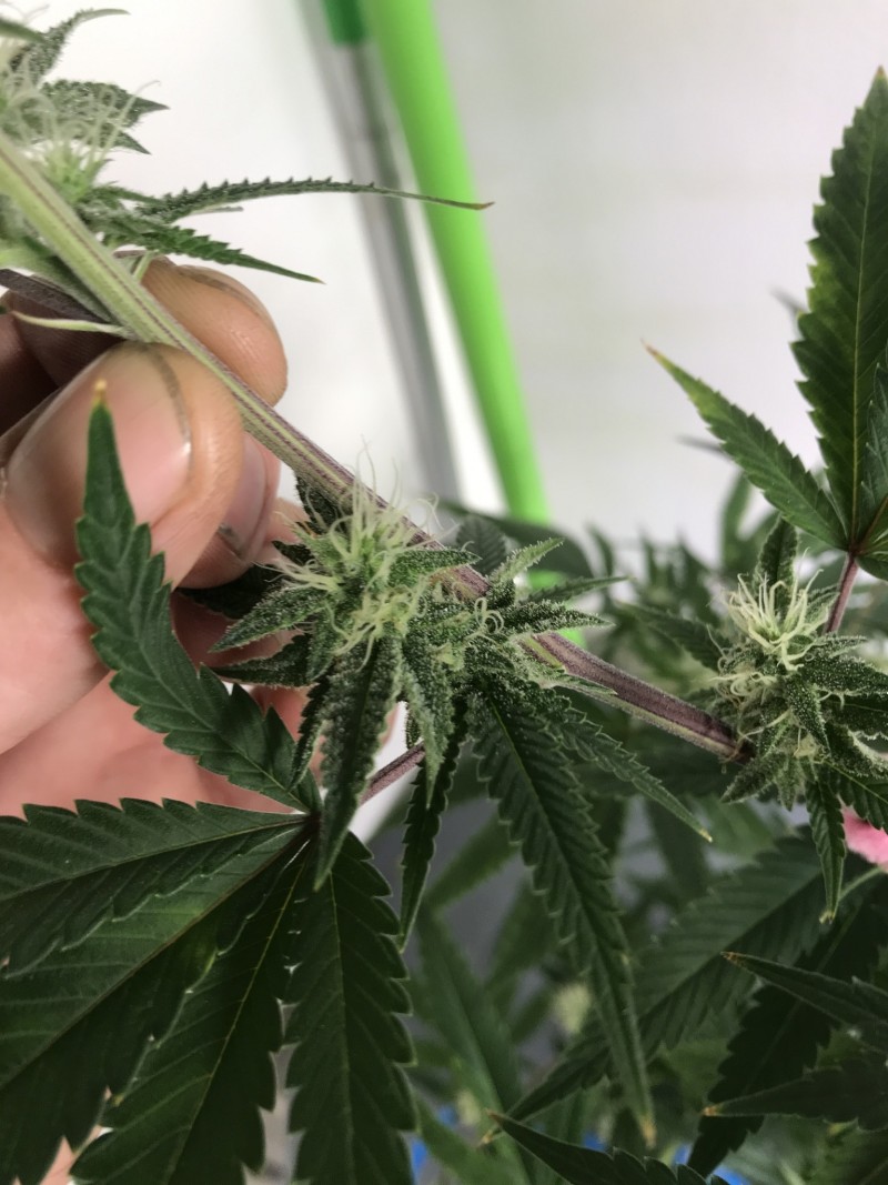 399373FA-1790-4892-822B-5023A123B5F2