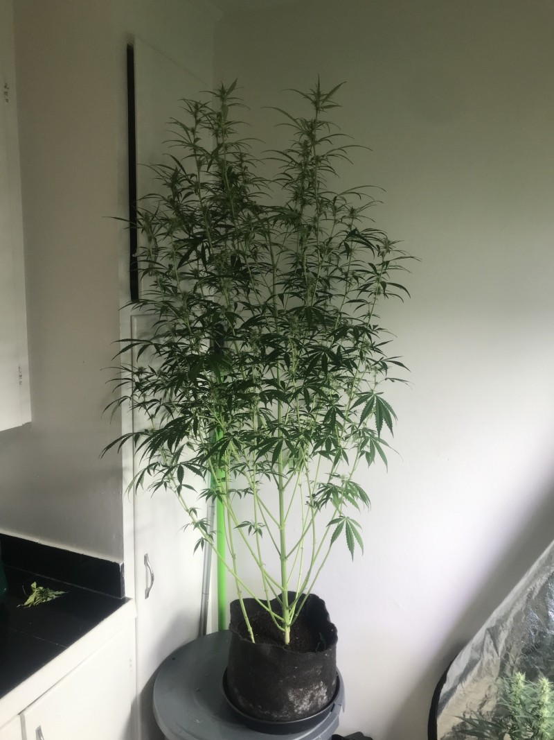 6DE329E0-E1EB-473B-A396-45FF8E1B9719