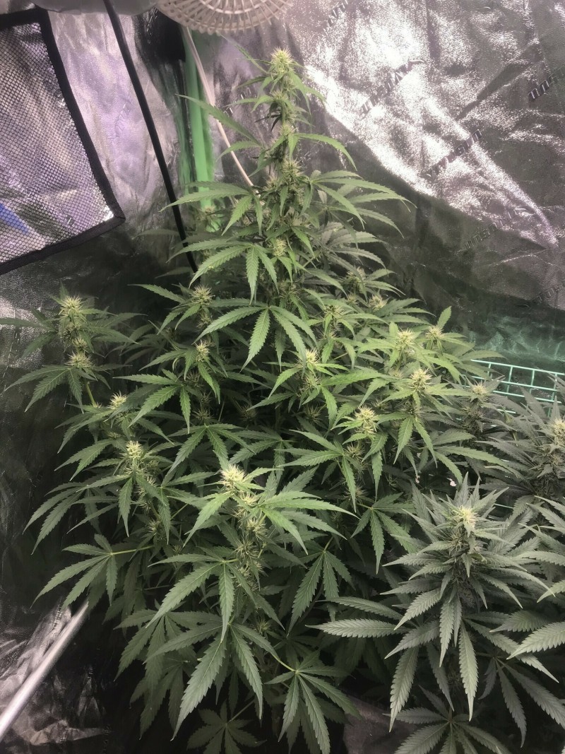 C94997CB-F7AE-4458-9EFD-3565E9B33F79