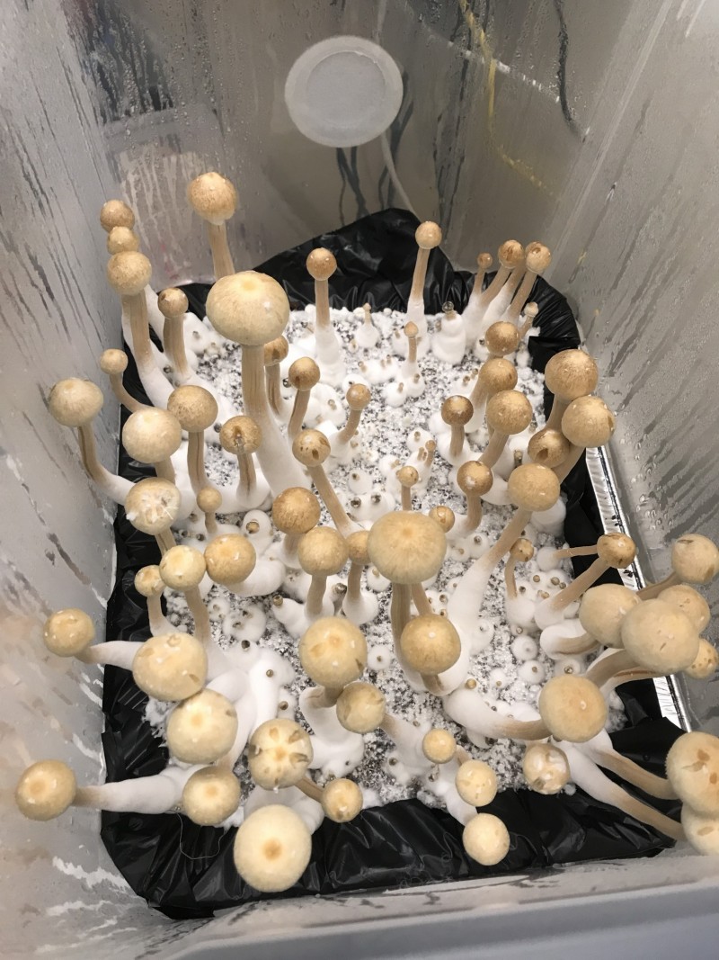 3D681698-96FF-4962-8621-6FBF67414373