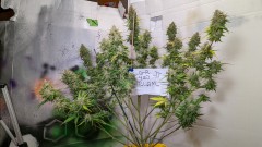 PXL_20211119_022227251