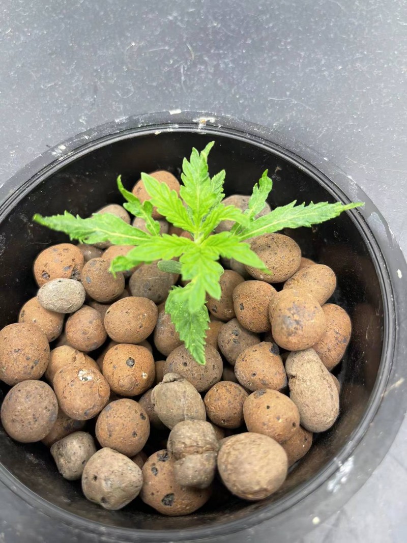 WeChat Image_20211122185514