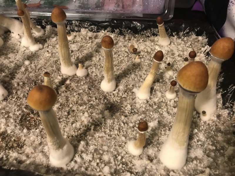 D6D52BA4-49AC-4D2D-9767-1F00D60EC7F1