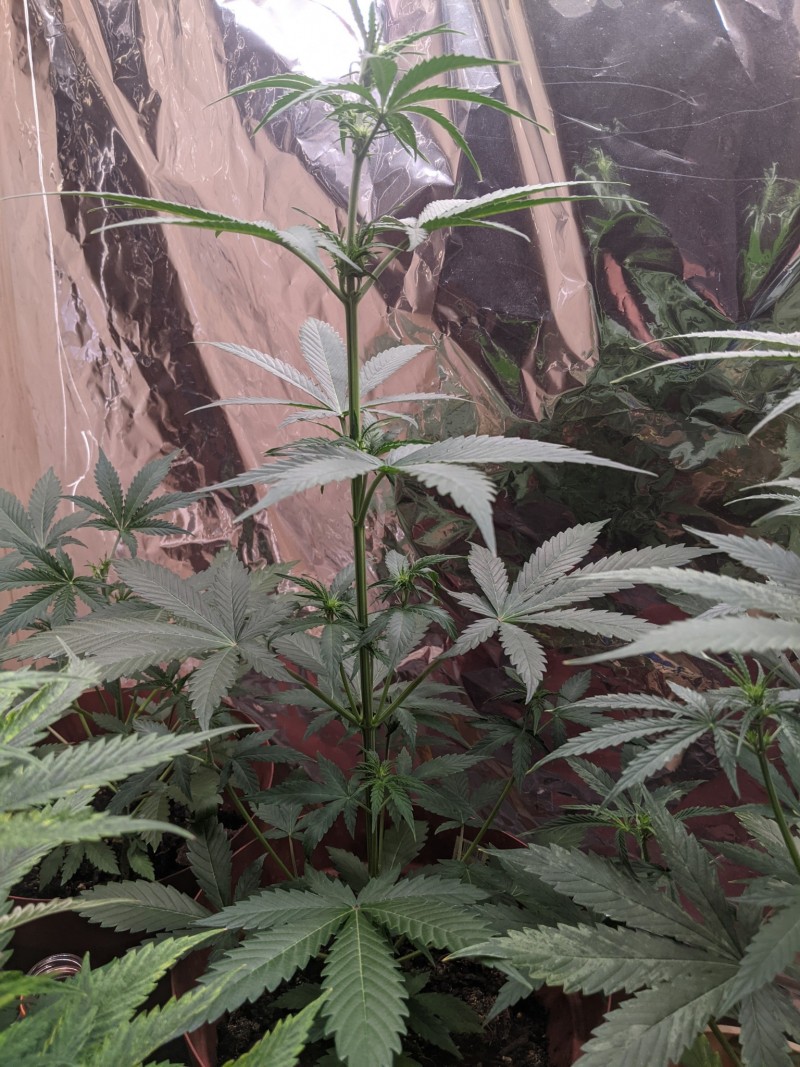 PXL_20211122_164110208