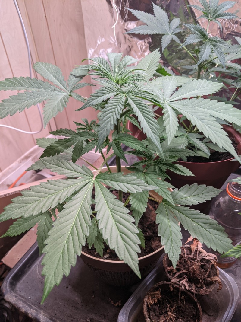 PXL_20211122_164119686