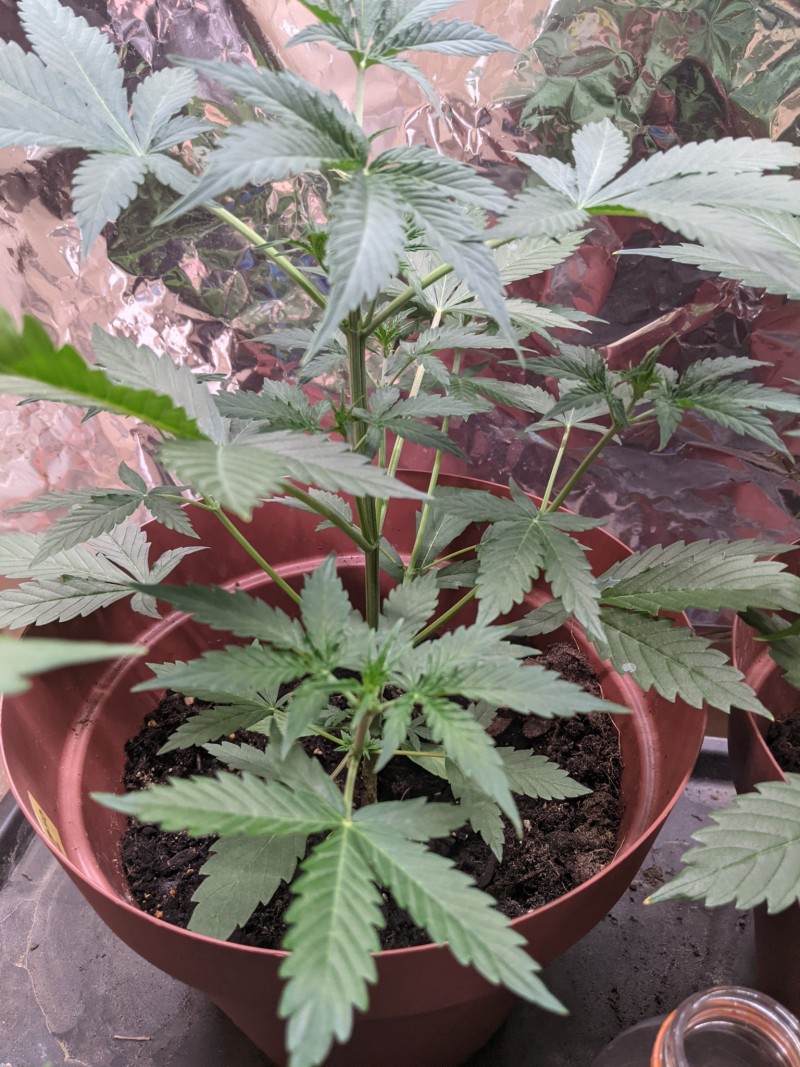 PXL_20211122_164136886