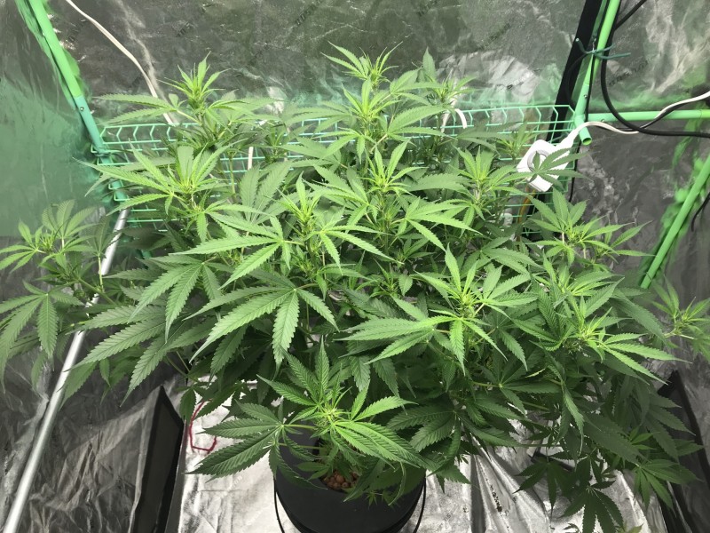 3E6559AC-9800-4325-AED0-ACCA90869434