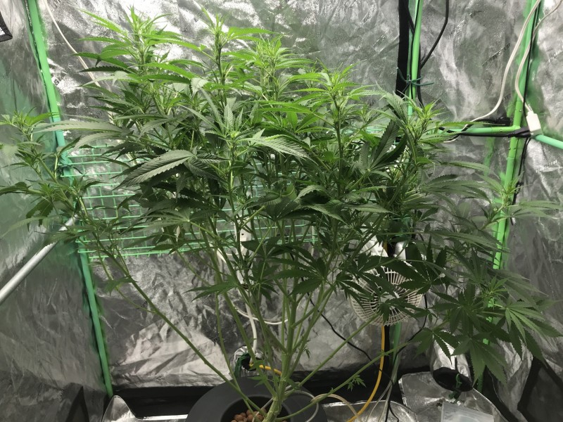 947BDC2B-0C31-4CF2-8858-9390A27E5292