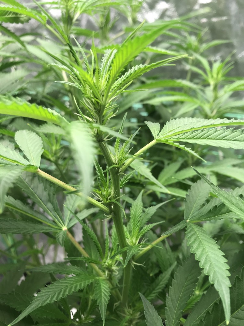 AAA4045D-E3BA-43DD-AA8F-DB9EECA4A02F