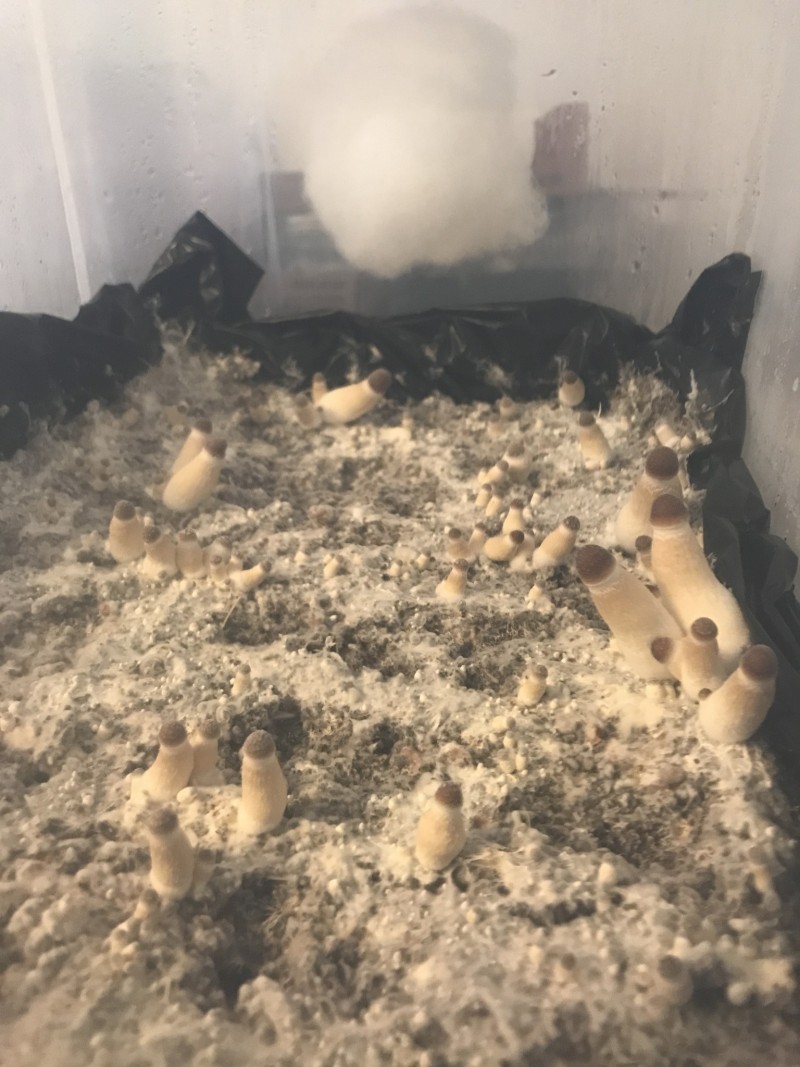 1DD587FA-6B80-4E8B-9724-C8C42E7549F5