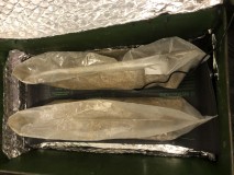 29C5BF7A-8108-413E-BBDB-1F95F06C798E