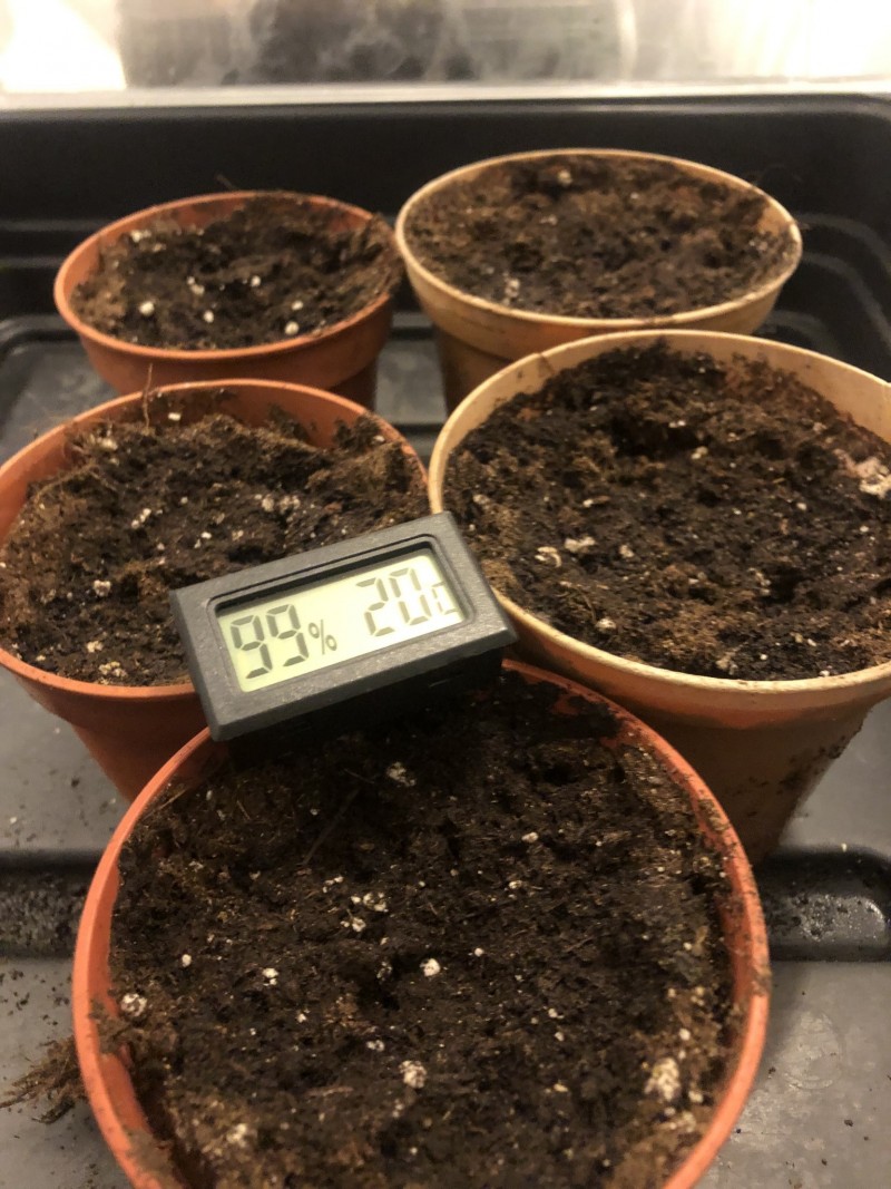 92248A39-21A9-47C4-A3C1-05429CB81220