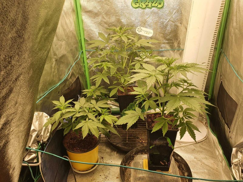 1638379895370358800924334204100