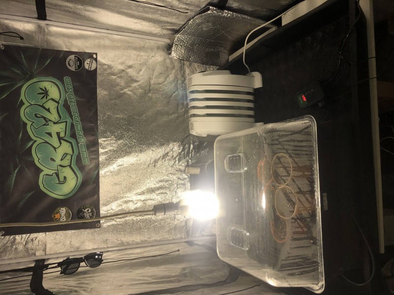 2C2D6351-34A5-410F-90D3-D79122A9778B