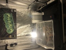 2C2D6351-34A5-410F-90D3-D79122A9778B