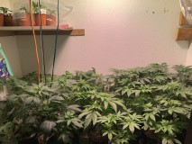 9223064F-B5DB-445D-8FCC-264F9C8147D4