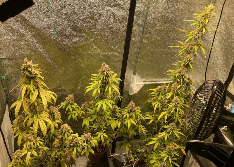 E1A2D42D-2FA4-4A1E-A545-A35BF55BFD95