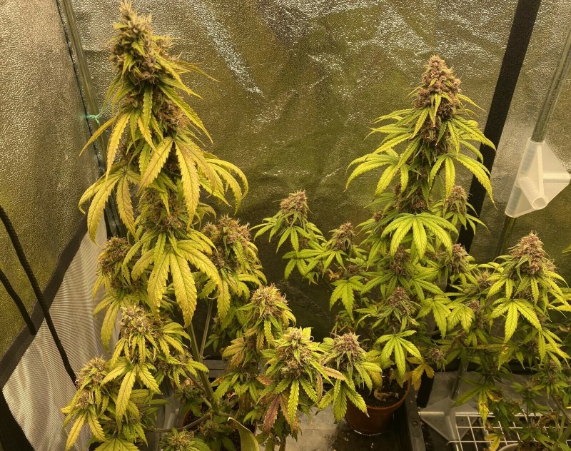 B80F677B-17CB-4704-8179-36ADA3B53967