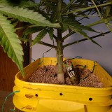 1639012419230492525961624696064