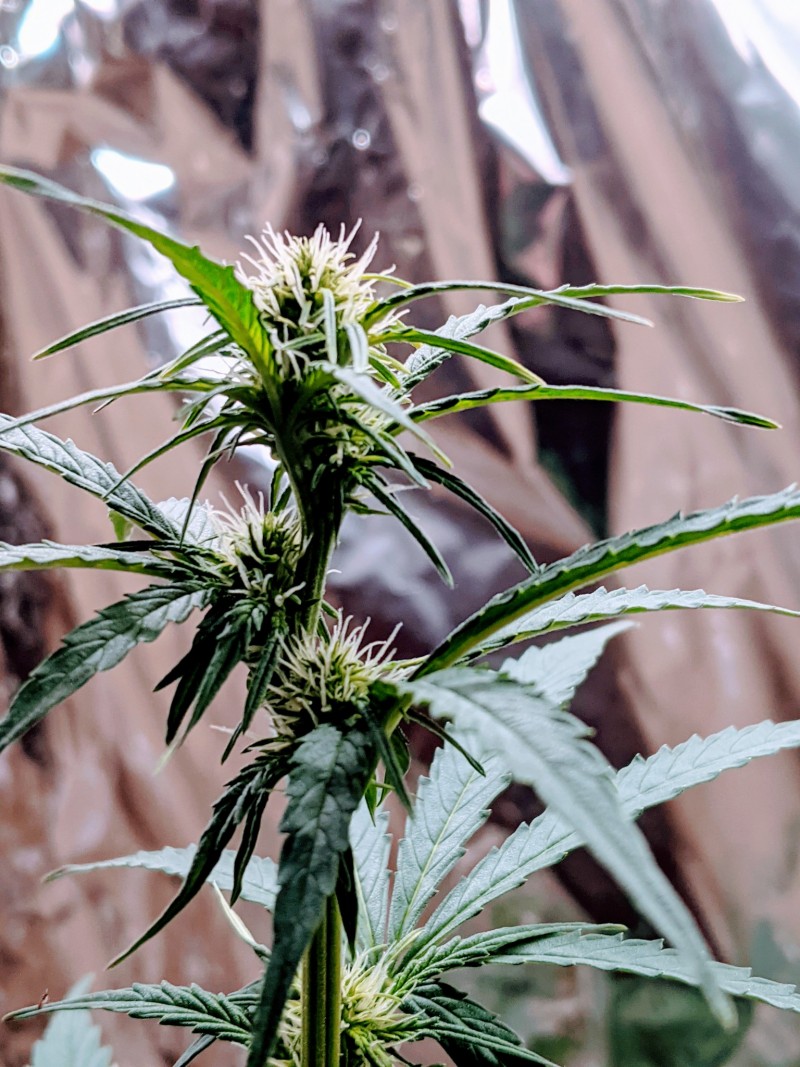 PXL_20211127_204611586