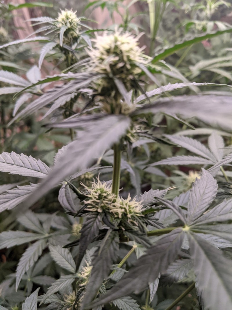 PXL_20211210_182718513