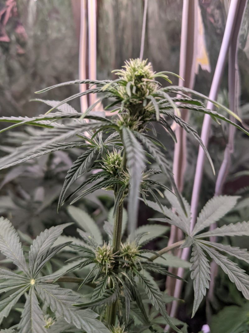 PXL_20211210_182736880