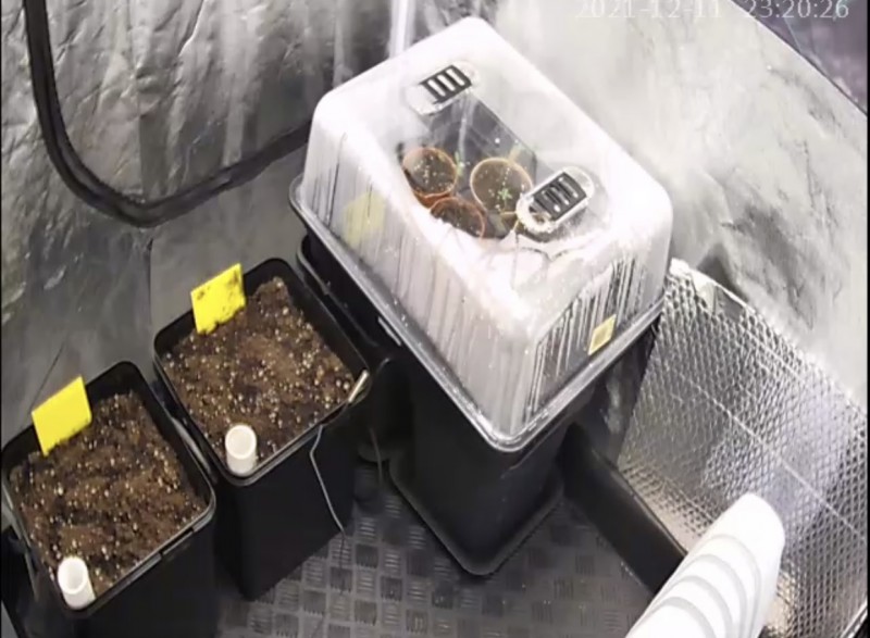 48D7B9D6-045A-4647-AD52-9E38B78E76AA