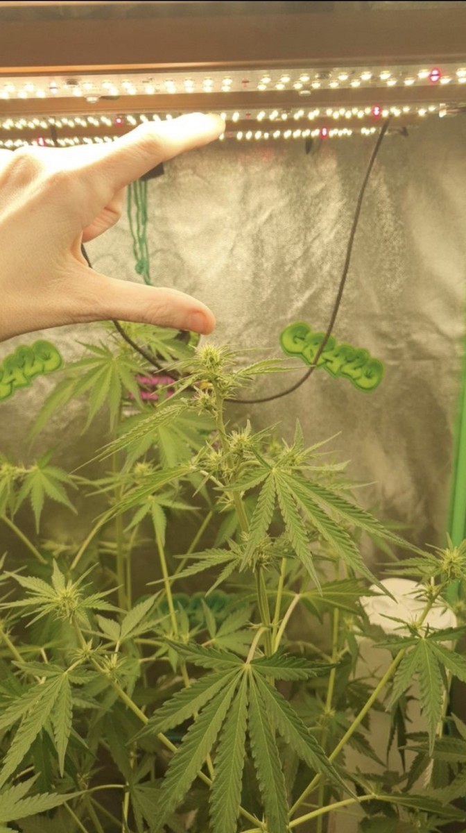 Screenshot_20211213-162428_Telegram