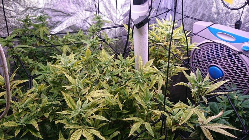 obscura1639435605715