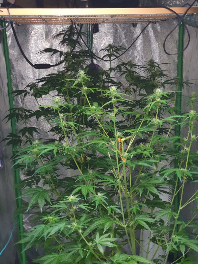 IMG_20211219_152100_794