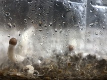 F28A9A66-92A7-4E7D-8CF5-4BEB7B525B13