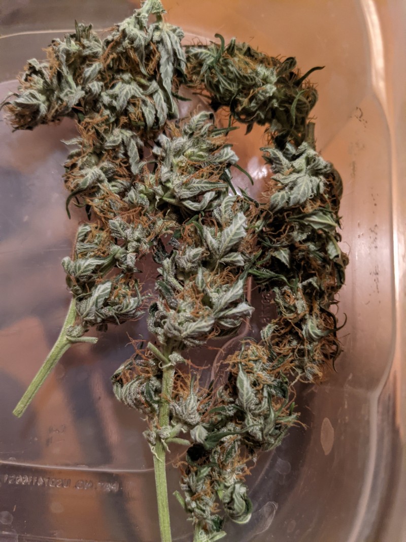 PXL_20211223_224816426