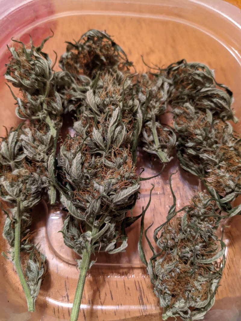 PXL_20211225_001745386