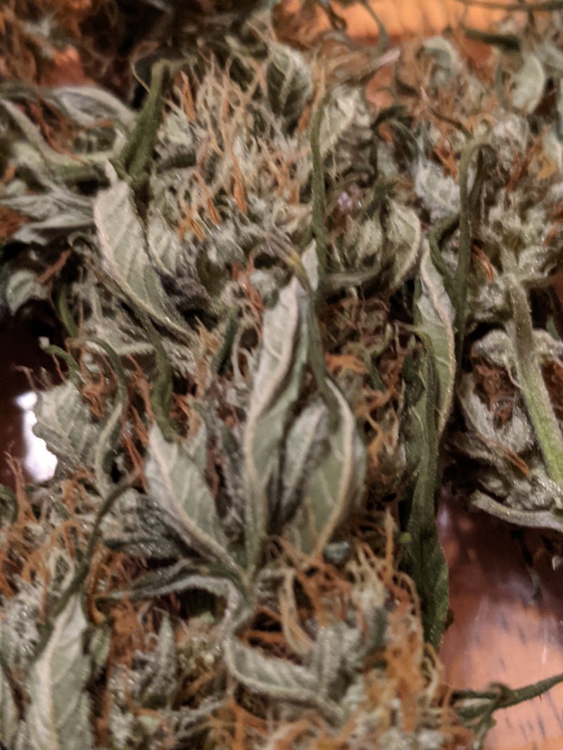 PXL_20211225_001754392