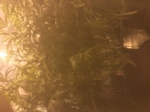 B1649AEF-C529-400D-B9A7-DE69FC049FA9