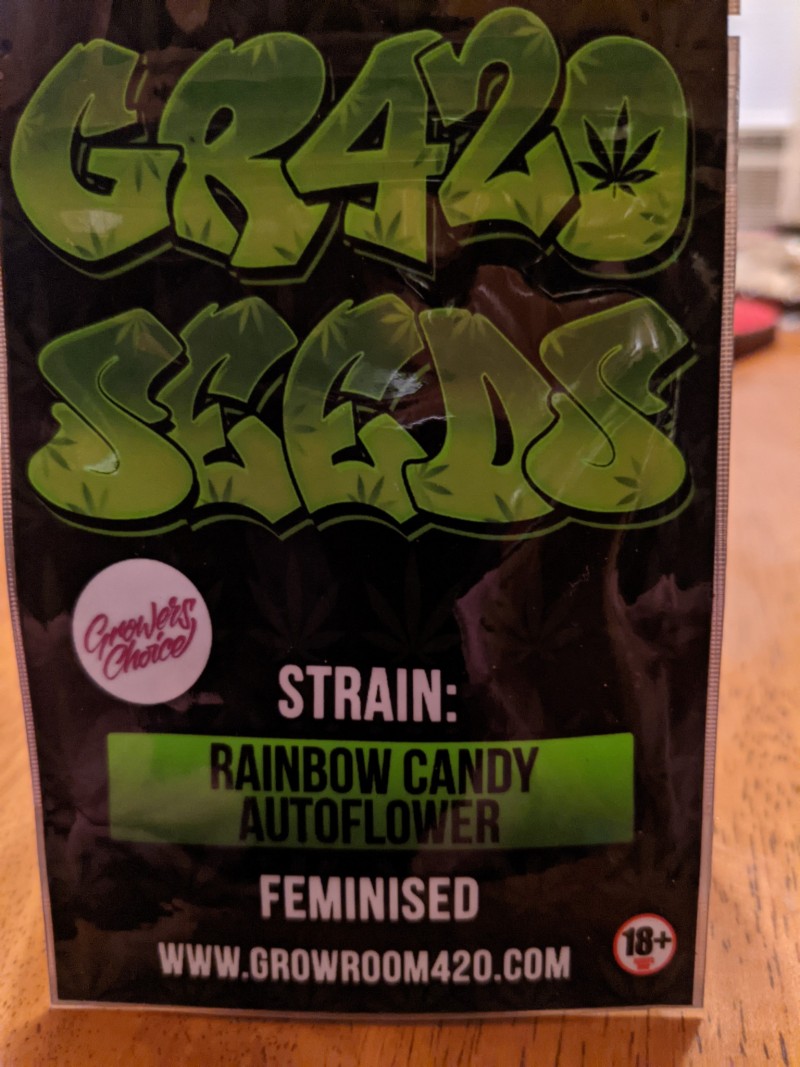 PXL_20211223_220524465