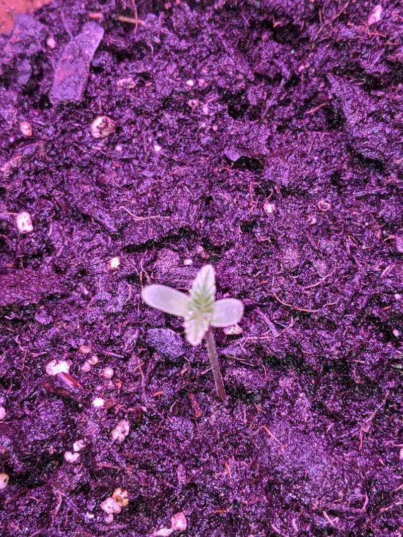 PXL_20211230_162609883