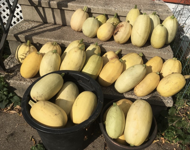 F1B57D3C-230A-4A39-9CCE-E458C9D7D487