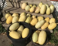 F1B57D3C-230A-4A39-9CCE-E458C9D7D487